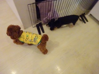 DSC00507.jpg