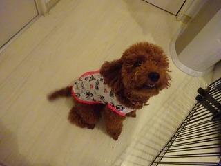 DSC00515.jpg