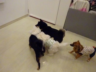 DSC00535.jpg