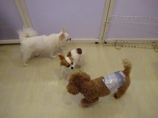 DSC00537.jpg