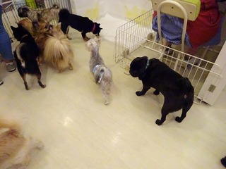 DSC00538.jpg