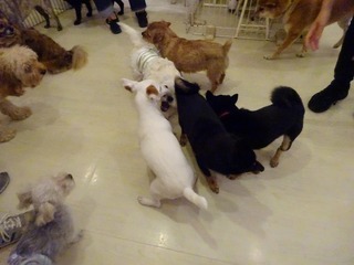 DSC00540.jpg