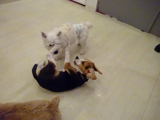 DSC00565.jpg