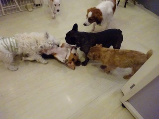 DSC00572.jpg