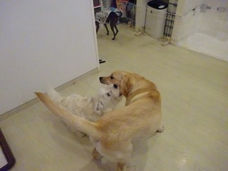 DSC00578.jpg