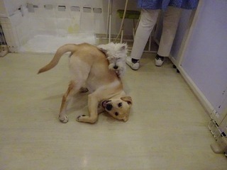 DSC00581.jpg