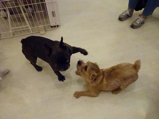 DSC00584.jpg