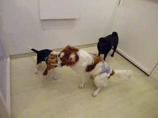 DSC00591.jpg