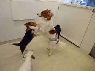 DSC00592.jpg