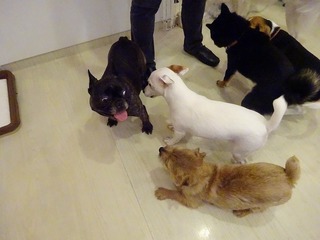DSC00597.jpg