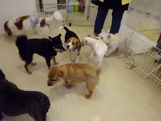 DSC00612.jpg