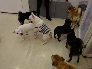 DSC00615.jpg