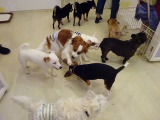 DSC00641.jpg