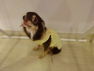 DSC00642.jpg