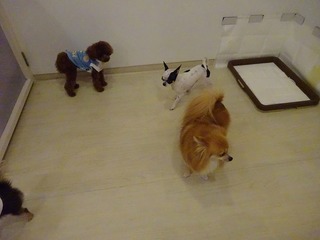 DSC00664.jpg