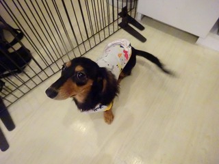 DSC00675.jpg