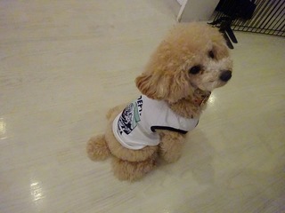 DSC00676.jpg