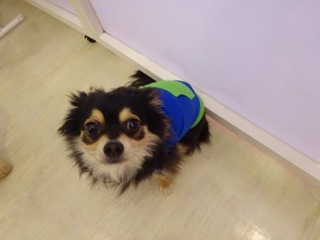 DSC00680.jpg