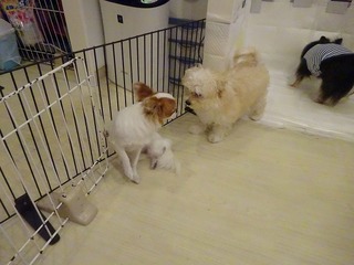 DSC00681.jpg