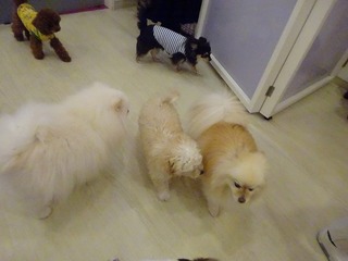 DSC00700.jpg