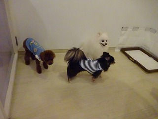 DSC00710.jpg