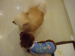 DSC00755.jpg