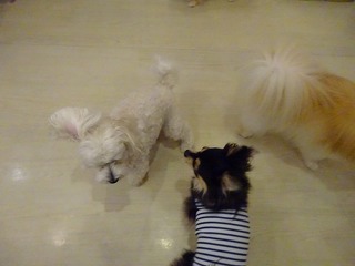 DSC00780.jpg