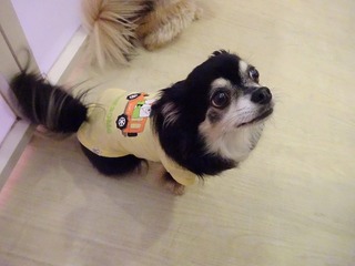 DSC00783.jpg