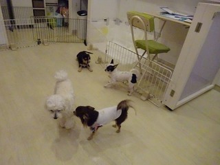 DSC00787.jpg