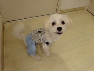 DSC00787.jpg