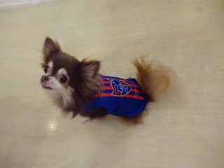 DSC00788.jpg