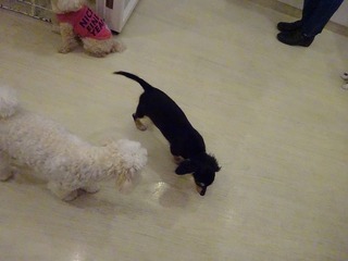 DSC00796.jpg