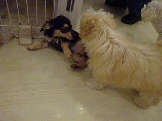 DSC00798.jpg