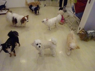 DSC00813.jpg