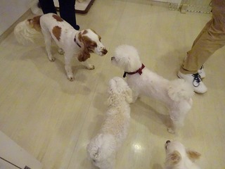 DSC00825.jpg