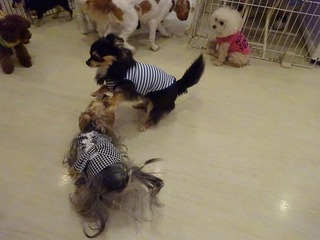 DSC00853.jpg