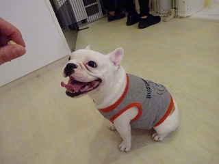 DSC00878.jpg