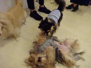DSC00879.jpg