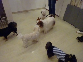 DSC00902.jpg