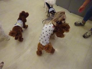 DSC00972.jpg