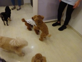 DSC01006.jpg
