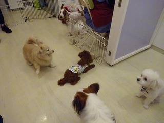 DSC01027.jpg