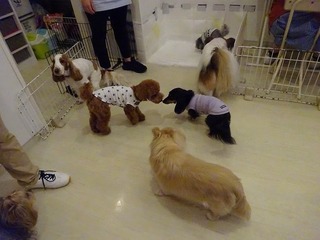 DSC01035.jpg