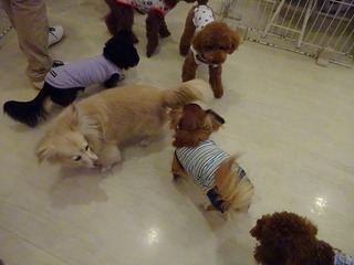 DSC01038.jpg