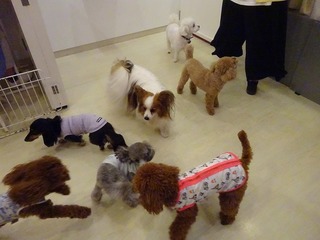 DSC01043.jpg