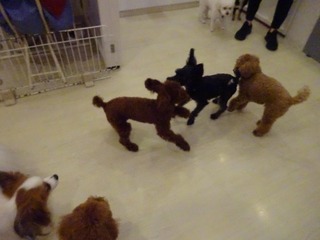 DSC01066.jpg