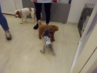 DSC01097.jpg