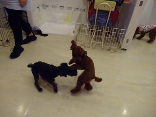 DSC01122.jpg