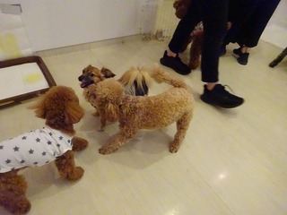 DSC01129.jpg