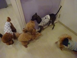DSC01146.jpg